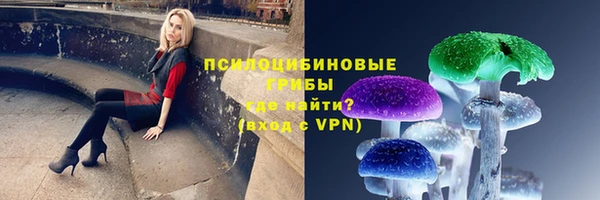 СК Волосово